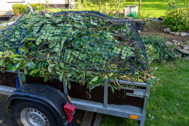 Best Furniture Removal  in Chesterbrook, PA